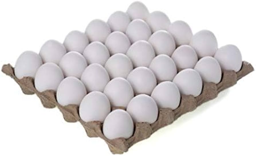 Fresh Eggs