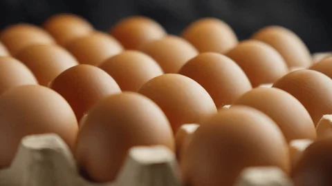 Hatching Eggs