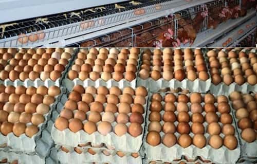 Bulk Supply