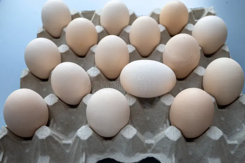 Fresh Farm Eggs